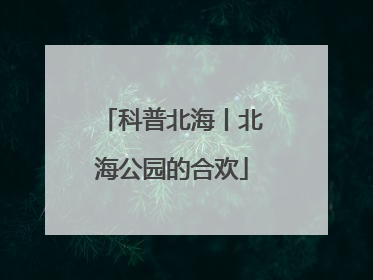 科普北海丨北海公园的合欢