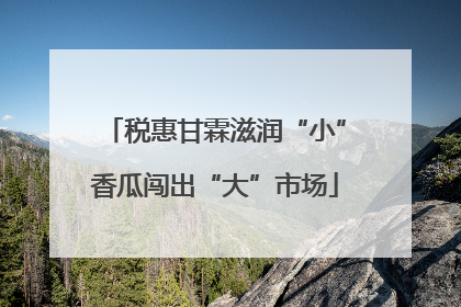 税惠甘霖滋润“小”香瓜闯出“大”市场