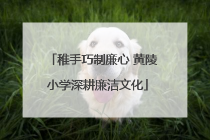 稚手巧制廉心 黄陵小学深耕廉洁文化