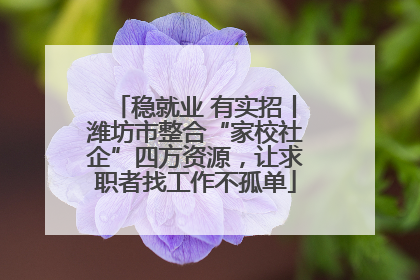 稳就业 有实招丨潍坊市整合“家校社企”四方资源，让求职者找工作不孤单