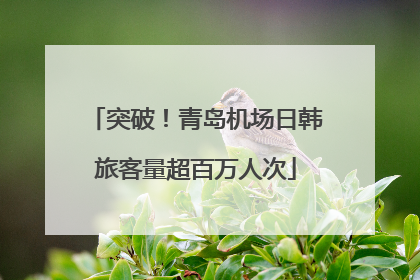 突破！青岛机场日韩旅客量超百万人次