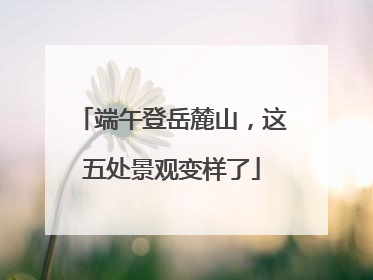 端午登岳麓山，这五处景观变样了