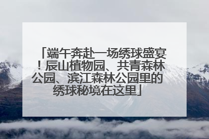 端午奔赴一场绣球盛宴！辰山植物园、共青森林公园、滨江森林公园里的绣球秘境在这里