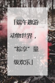 端午趣游动物世界，“粽享”量级欢乐