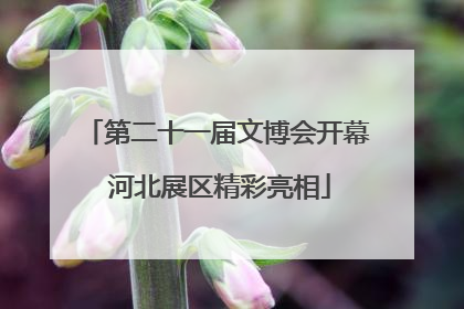 第二十一届文博会开幕 河北展区精彩亮相