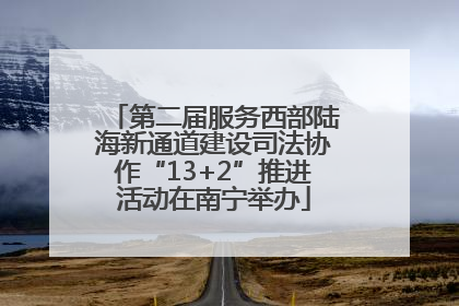 第二届服务西部陆海新通道建设司法协作“13+2”推进活动在南宁举办