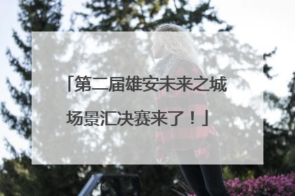 第二届雄安未来之城场景汇决赛来了！