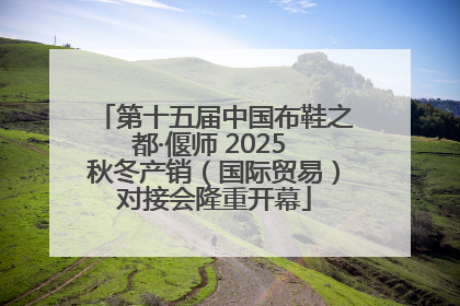 第十五届中国布鞋之都·偃师 2025 秋冬产销（国际贸易）对接会隆重开幕