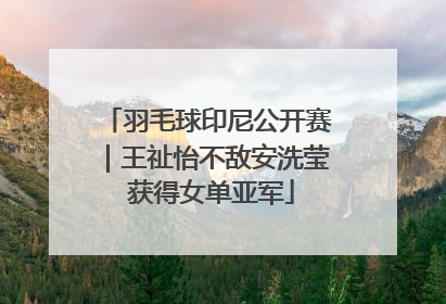 羽毛球印尼公开赛｜王祉怡不敌安洗莹 获得女单亚军