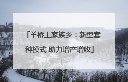 羊桥土家族乡：新型套种模式 助力增产增收