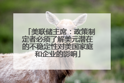 美联储主席：政策制定者必须了解美元潜在的不稳定性对美国家庭和企业的影响