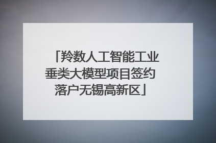 羚数人工智能工业垂类大模型项目签约落户无锡高新区