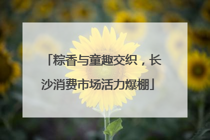 粽香与童趣交织，长沙消费市场活力爆棚