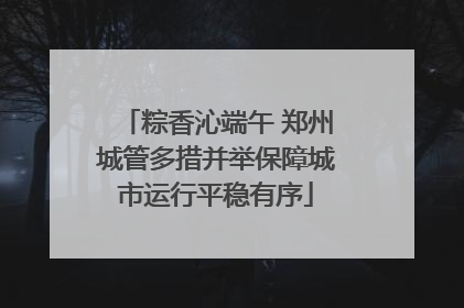 粽香沁端午 郑州城管多措并举保障城市运行平稳有序