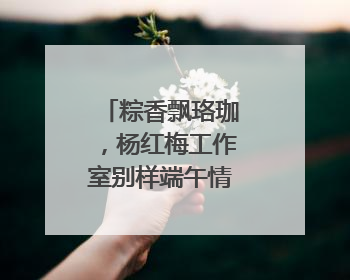 粽香飘珞珈，杨红梅工作室别样端午情暖藏族学子