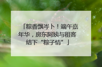 粽香飘岑卜！端午嘉年华，房东阿姨与租客结下“粽子情”