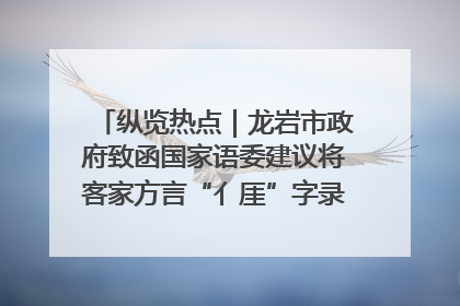 纵览热点｜龙岩市政府致函国家语委建议将客家方言“亻厓”字录入《新华字典》引发热议，当地回应