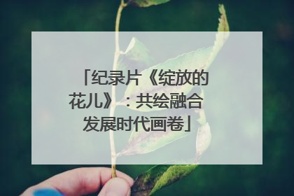 纪录片《绽放的花儿》：共绘融合发展时代画卷
