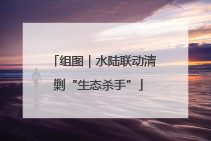 组图｜水陆联动清剿“生态杀手”