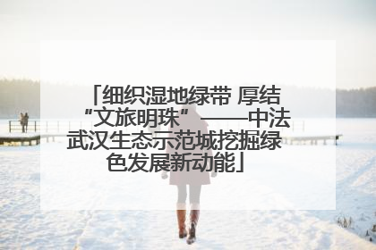 细织湿地绿带 厚结“文旅明珠”——中法武汉生态示范城挖掘绿色发展新动能