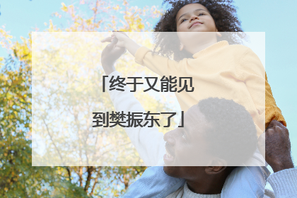 终于又能见到樊振东了