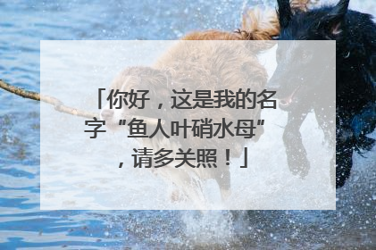 你好，这是我的名字“鱼人叶硝水母”，请多关照！