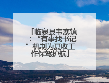临泉县韦寨镇：“有事找书记”机制为夏收工作保驾护航