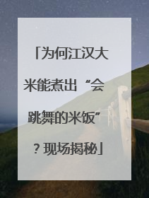 为何江汉大米能煮出“会跳舞的米饭”？现场揭秘
