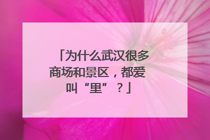 为什么武汉很多商场和景区，都爱叫“里”？