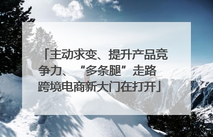 主动求变、提升产品竞争力、“多条腿”走路 跨境电商新大门在打开