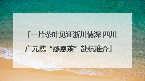 一片茶叶见证浙川情深 四川广元携“感恩茶”赴杭推介