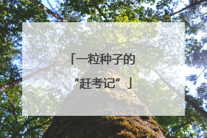 一粒种子的“赶考记”