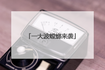 一大波螳螂来袭