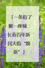 一条街了解一座城：长春百年新民大街“焕新”