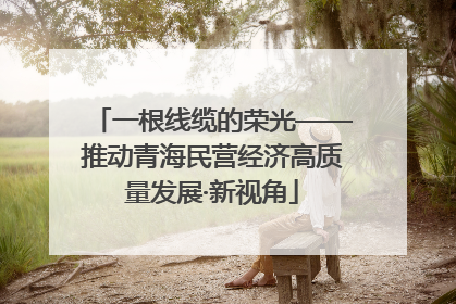 一根线缆的荣光——推动青海民营经济高质量发展·新视角