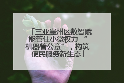 三亚崖州区数智赋能管住小微权力 “机器管公章”，构筑便民服务新生态