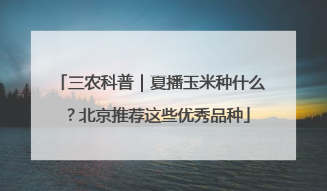 三农科普｜夏播玉米种什么？北京推荐这些优秀品种