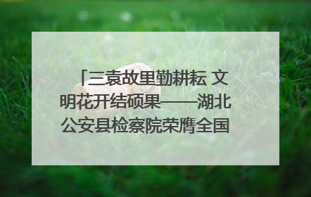 三袁故里勤耕耘 文明花开结硕果——湖北公安县检察院荣膺全国文明单位称号
