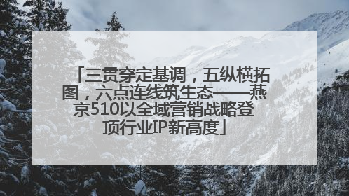 三贯穿定基调，五纵横拓图，六点连线筑生态——燕京510以全域营销战略登顶行业IP新高度