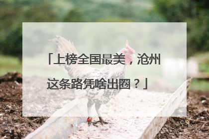 上榜全国最美，沧州这条路凭啥出圈？