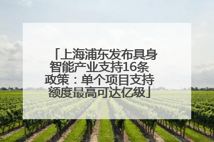 上海浦东发布具身智能产业支持16条政策：单个项目支持额度最高可达亿级