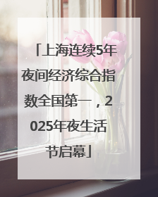 上海连续5年夜间经济综合指数全国第一，2025年夜生活节启幕