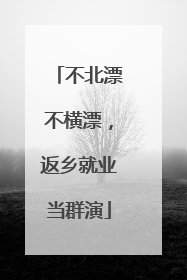 不北漂不横漂，返乡就业当群演
