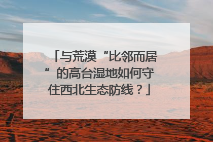 与荒漠“比邻而居”的高台湿地如何守住西北生态防线？