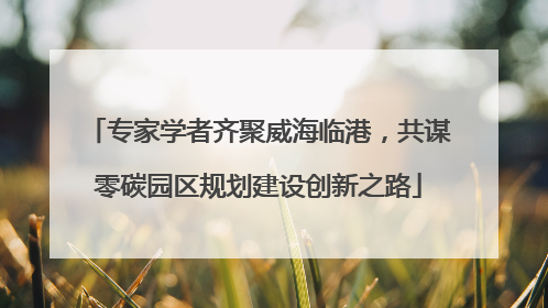 专家学者齐聚威海临港，共谋零碳园区规划建设创新之路