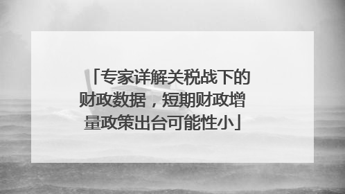 专家详解关税战下的财政数据，短期财政增量政策出台可能性小