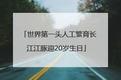 世界第一头人工繁育长江江豚迎20岁生日