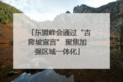 东盟峰会通过“吉隆坡宣言” 聚焦加强区域一体化