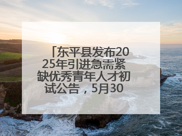 东平县发布2025年引进急需紧缺优秀青年人才初试公告，5月30日开展面谈