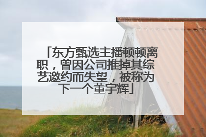 东方甄选主播顿顿离职，曾因公司推掉其综艺邀约而失望，被称为下一个董宇辉